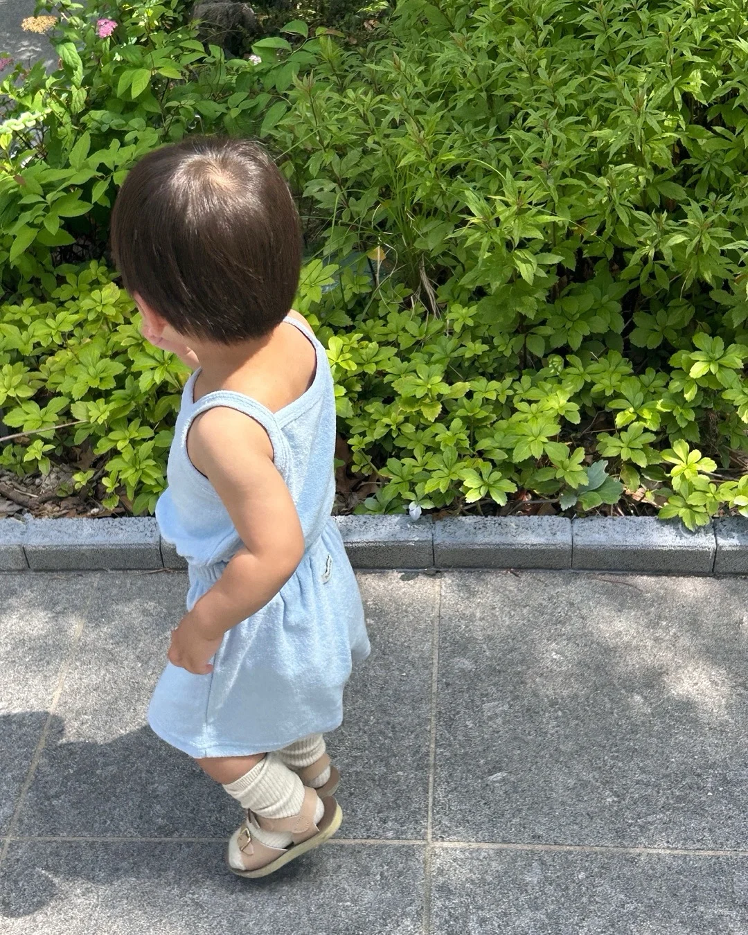 츠바메 밀폐 유리병 5