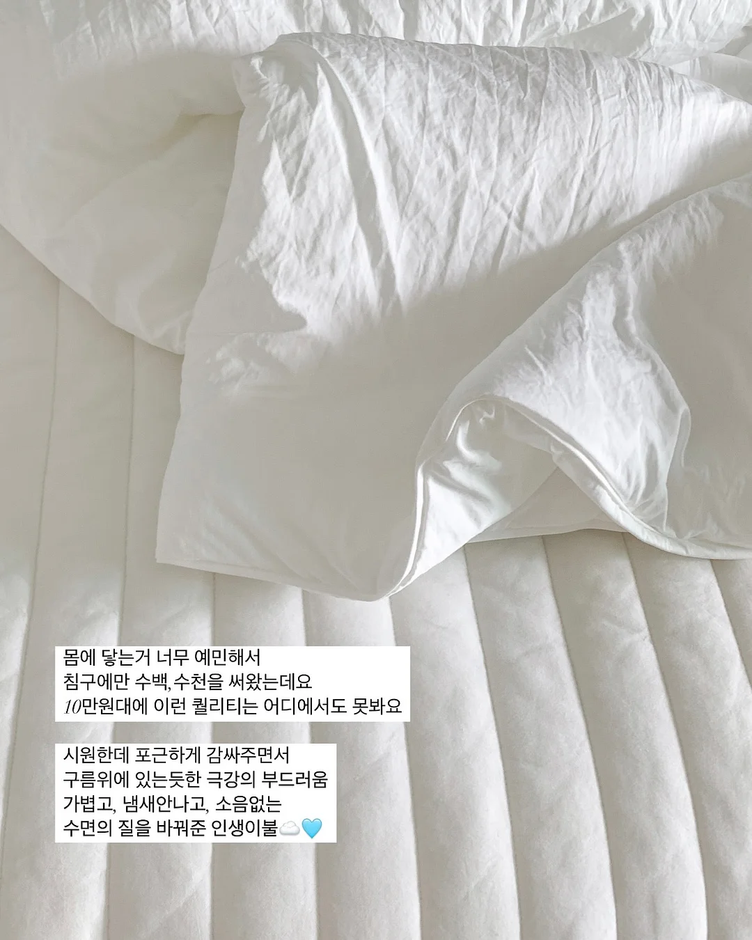 MICE 업계 인사이트 레터 5