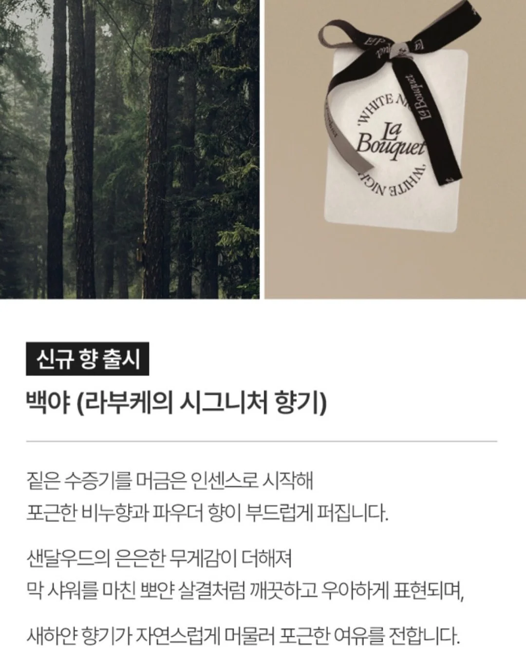 젤리슈즈 커스텀 6