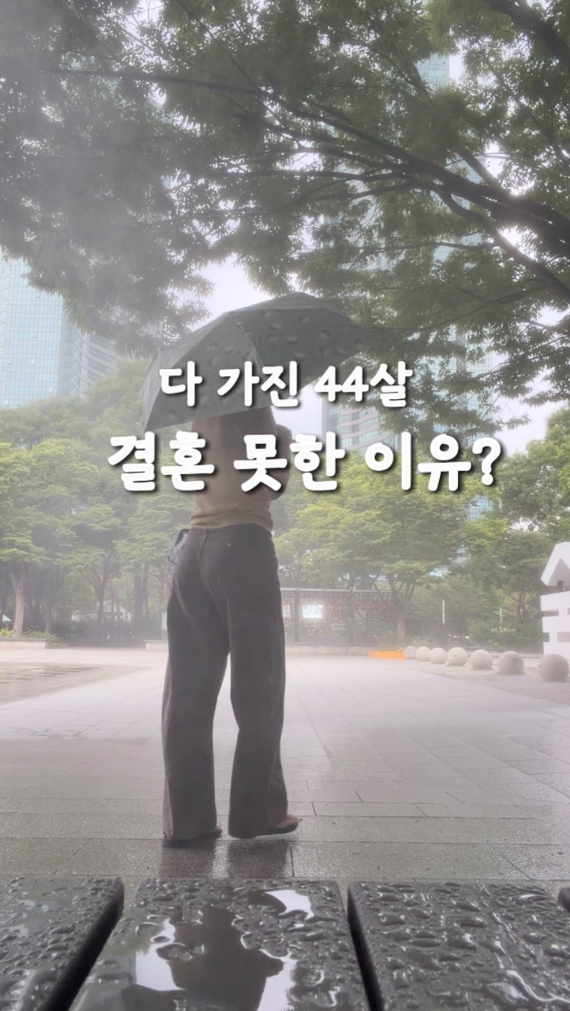 올블랙백