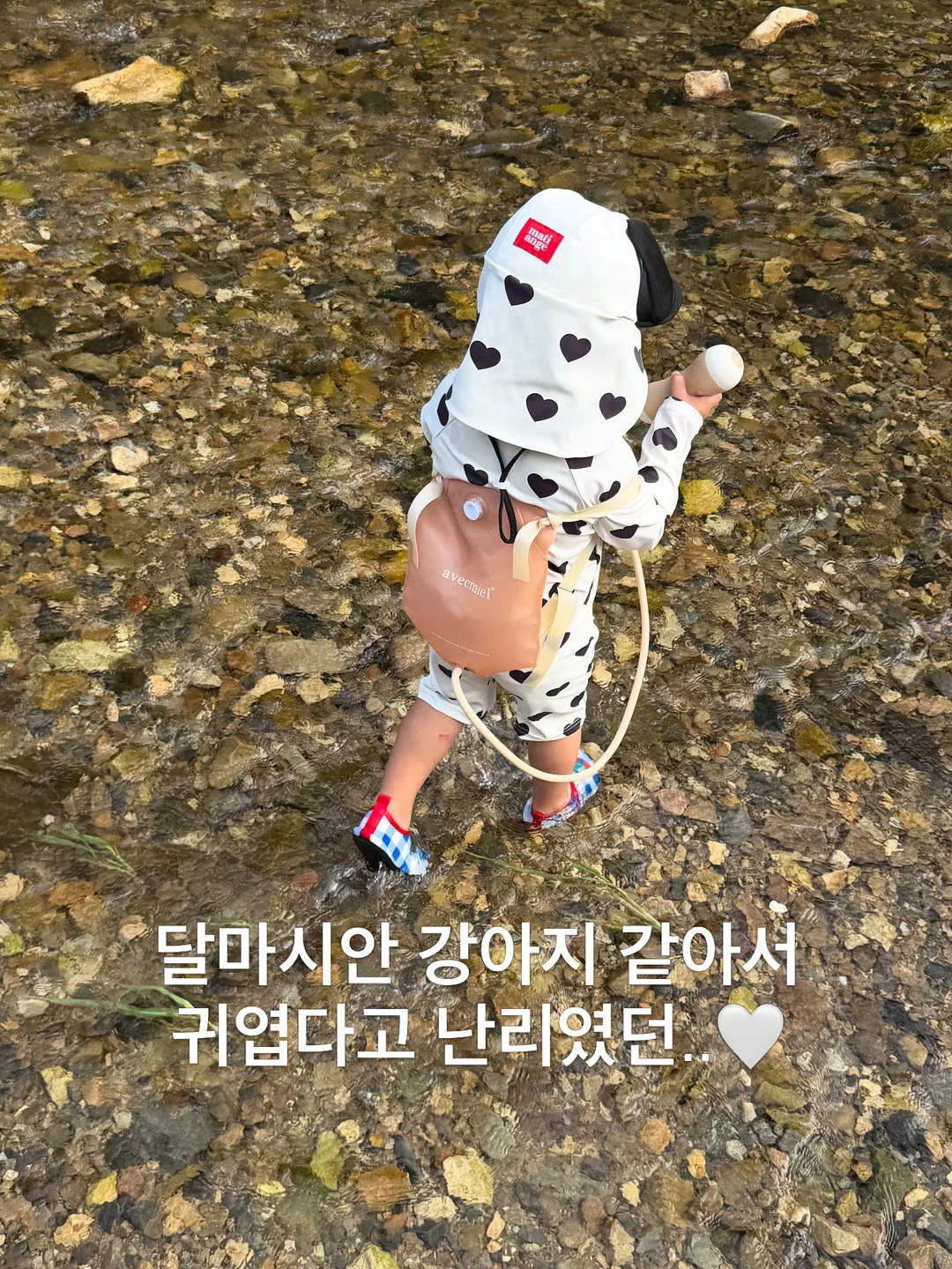 정성담고 흑염소 12