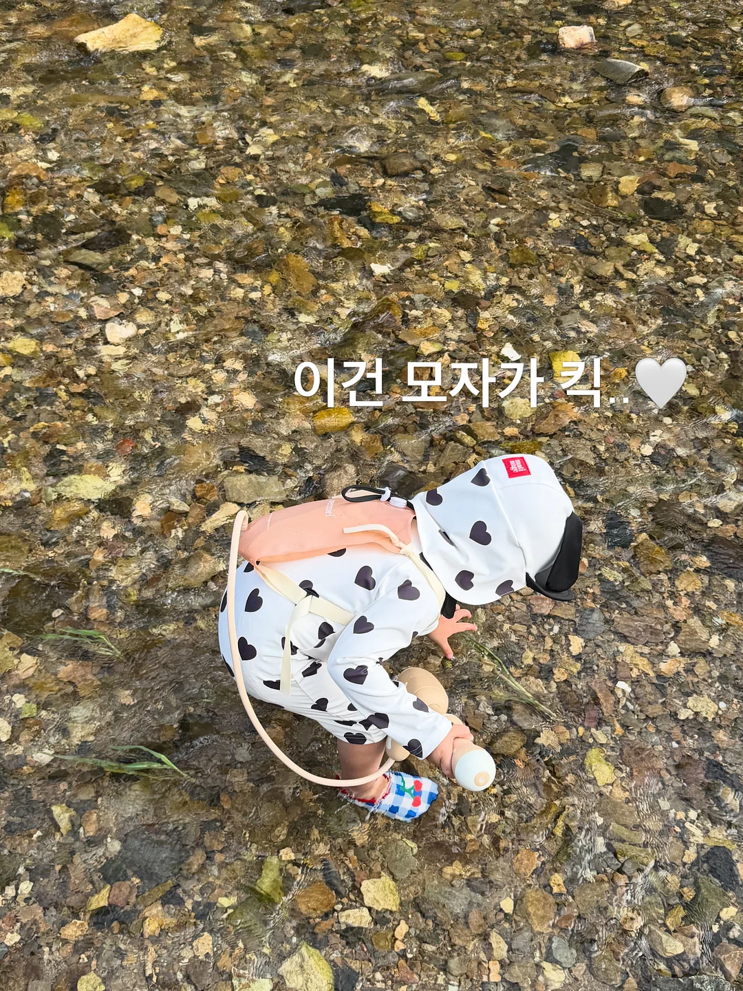 정성담고 흑염소 13