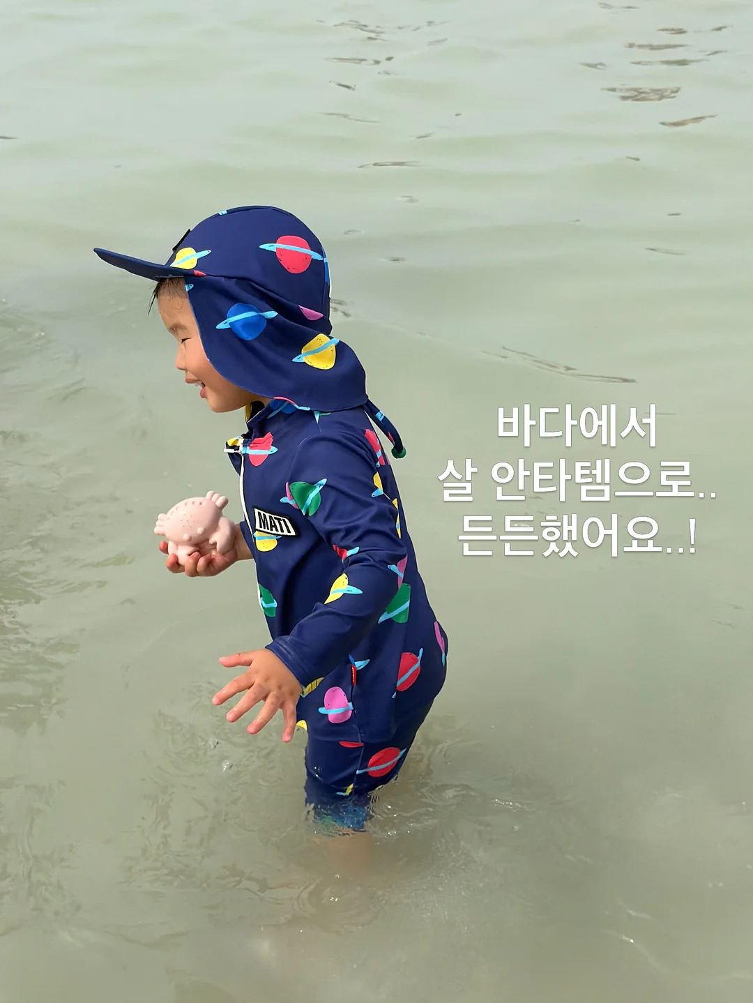 정성담고 흑염소 14