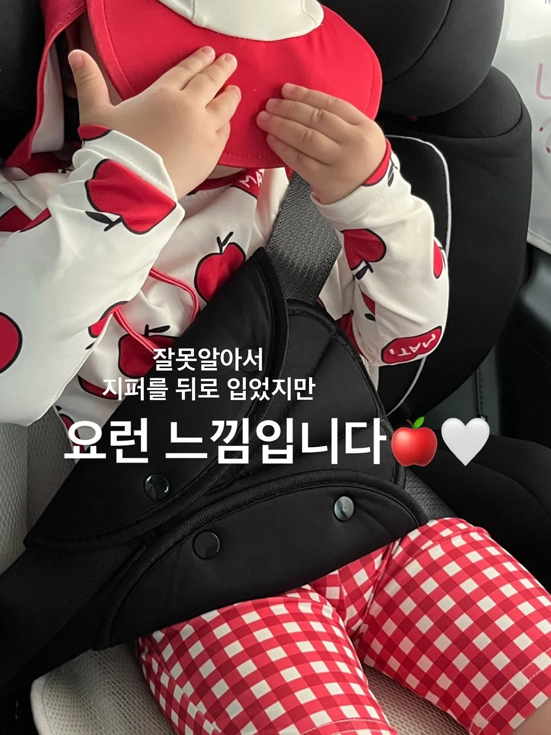 정성담고 흑염소 9
