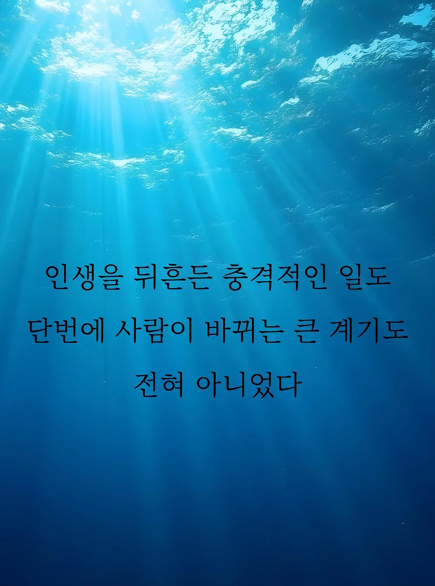 폴로 90s 포니 오버사이즈 맨투맨 2