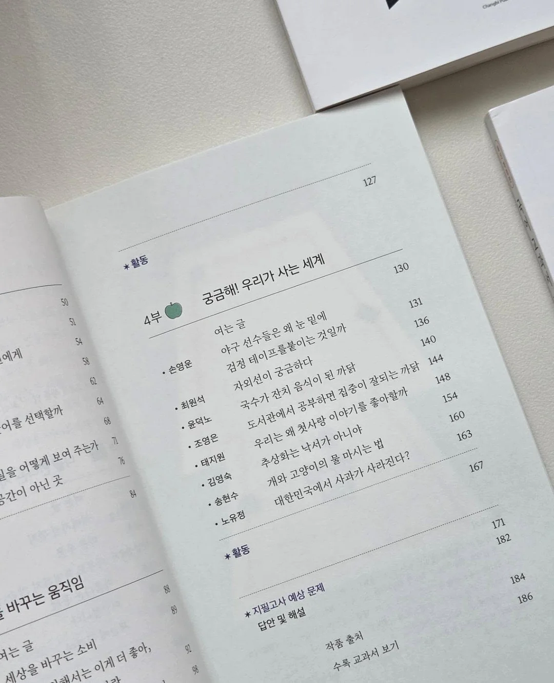 스네프 메쉬백 11