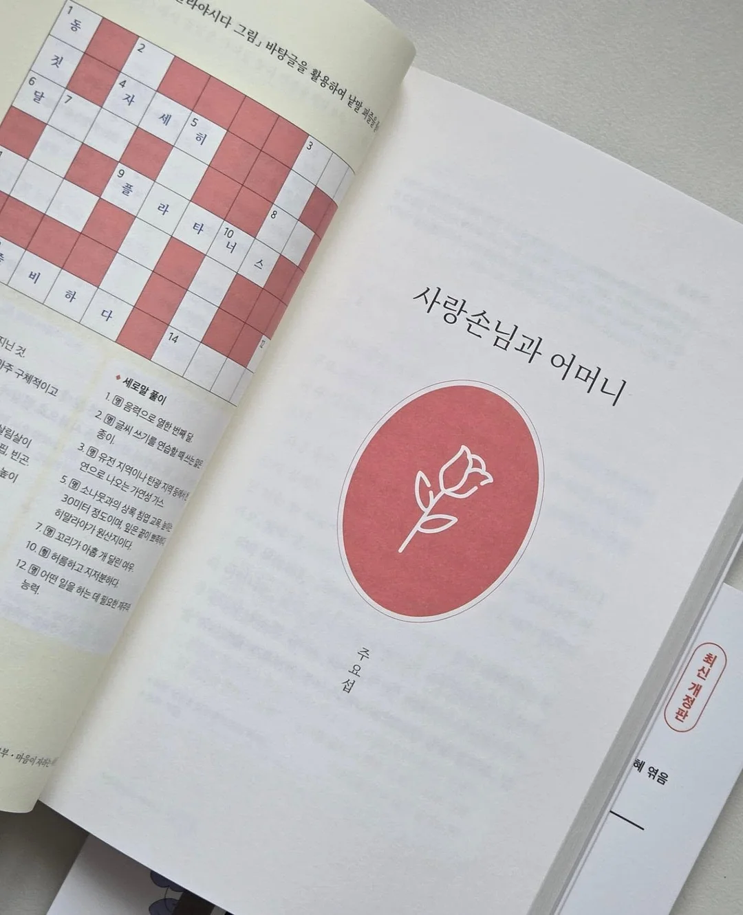 스네프 메쉬백 12