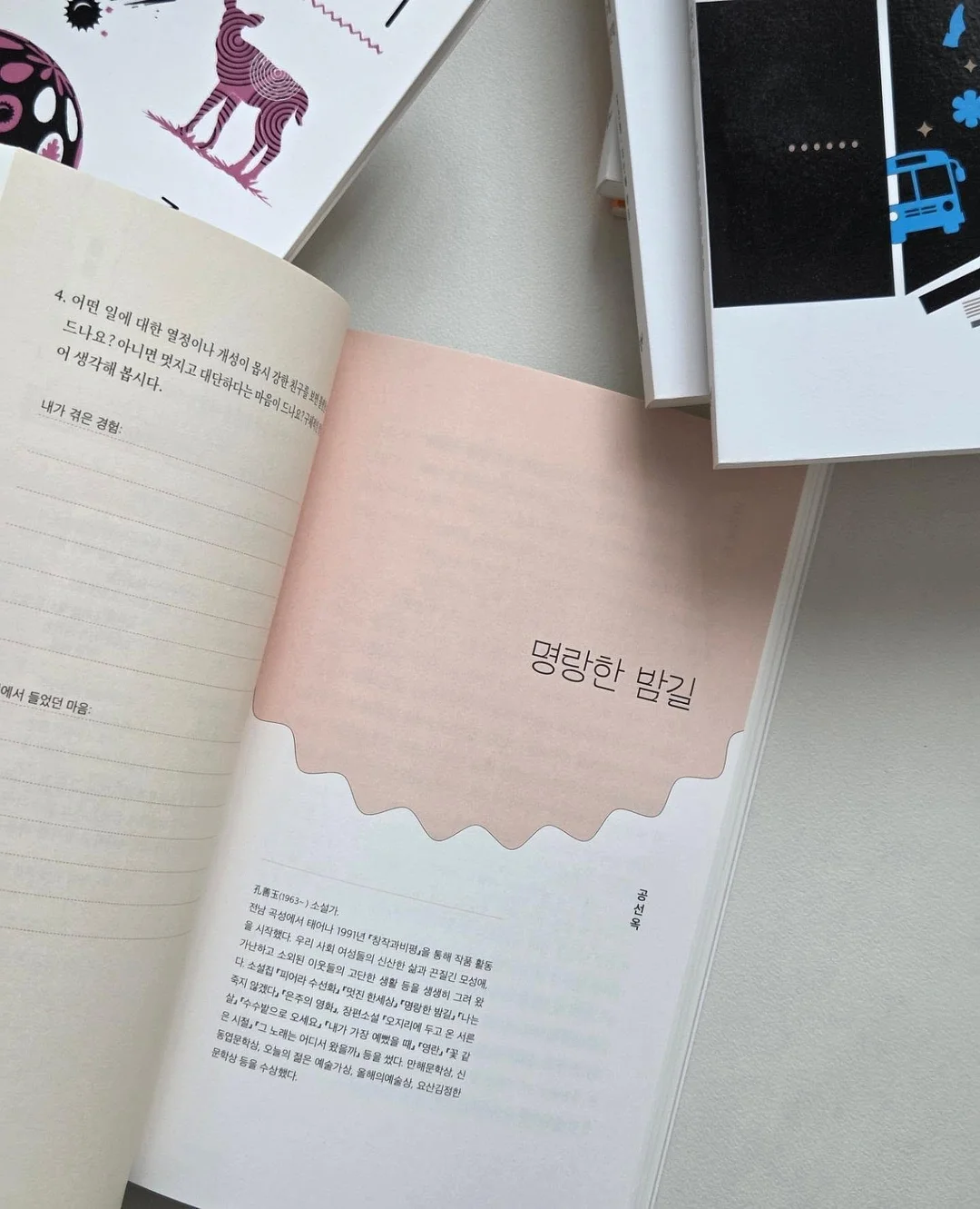 스네프 메쉬백 5