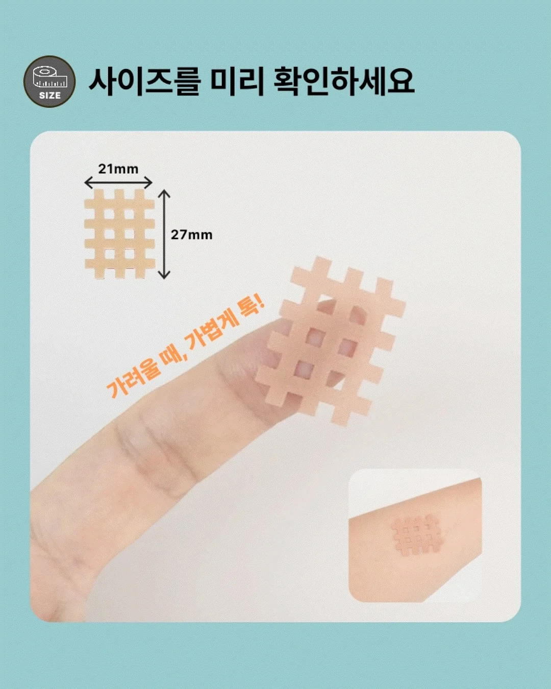 촛대고동 회 8