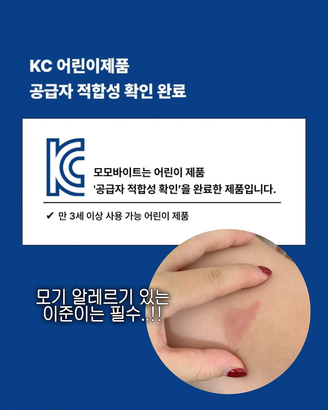 촛대고동 회 9
