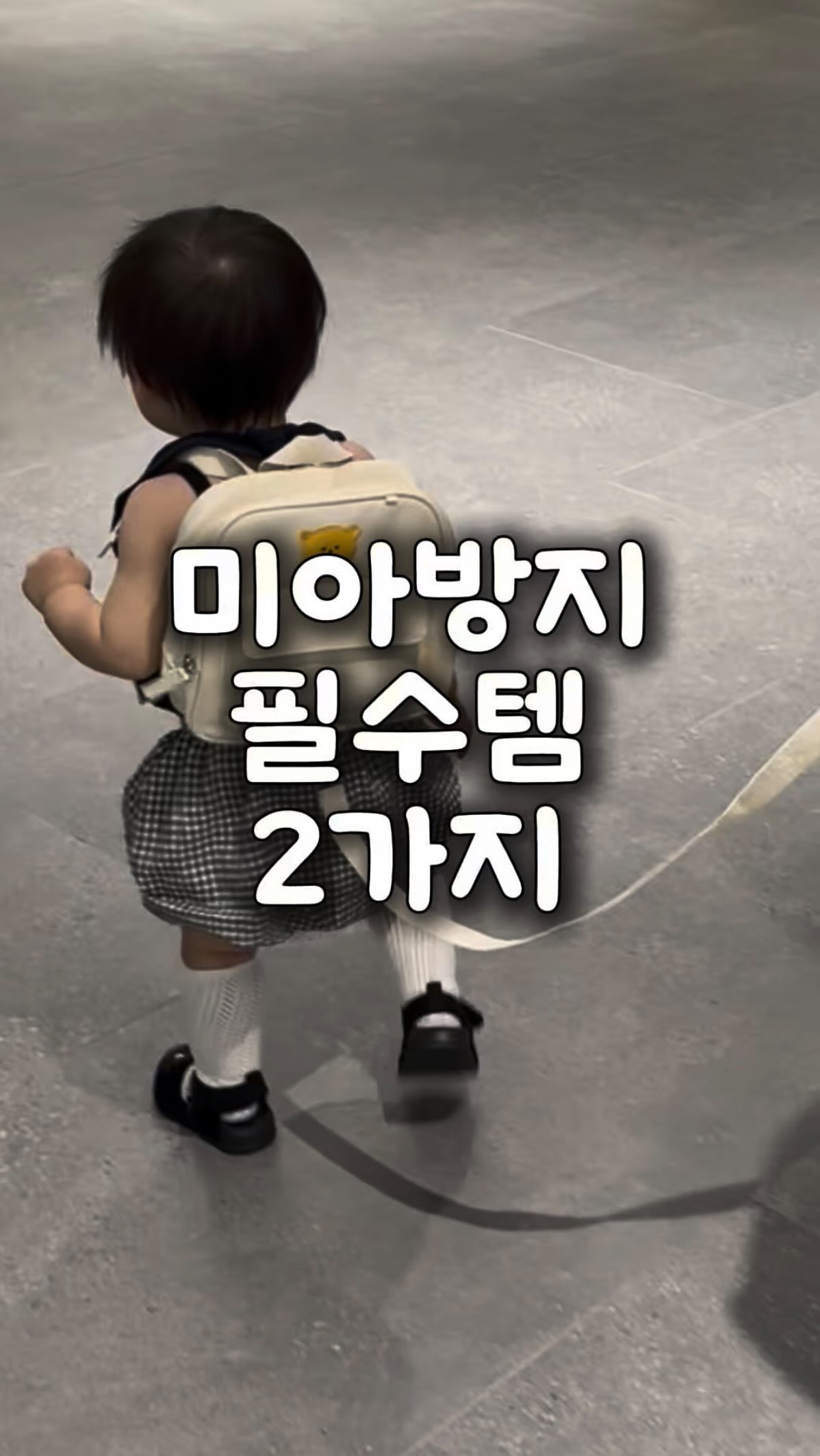 미코모토지마 해머헤드 투어