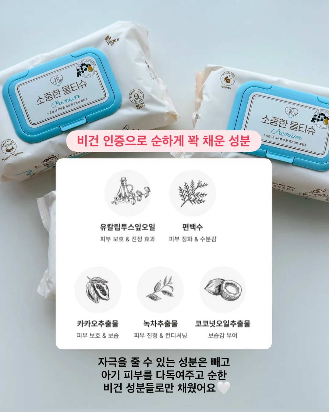 미코모토지마 해머헤드 투어 11