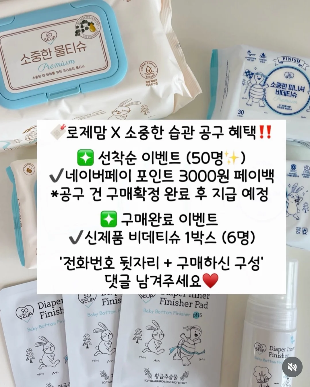 미코모토지마 해머헤드 투어 2
