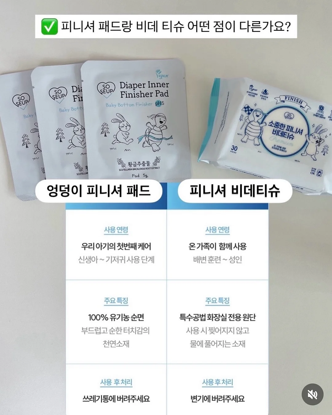 미코모토지마 해머헤드 투어 6