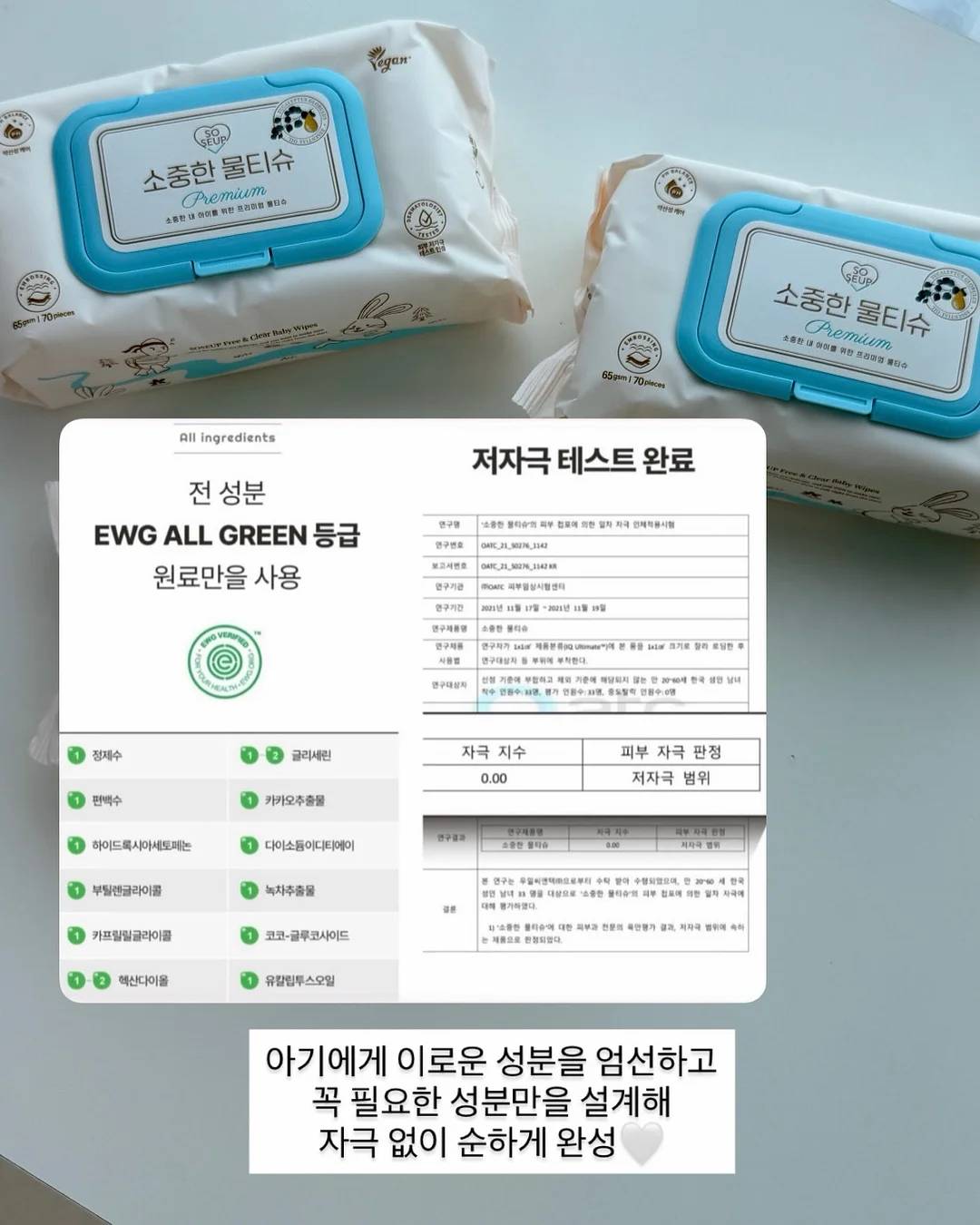 미코모토지마 해머헤드 투어 10