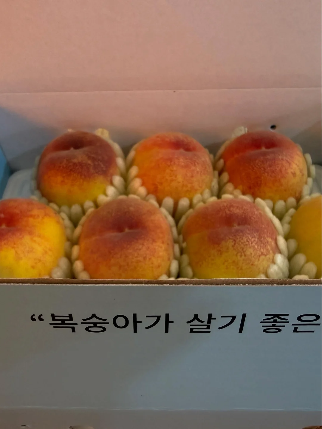 영영 뜻 리스트 7