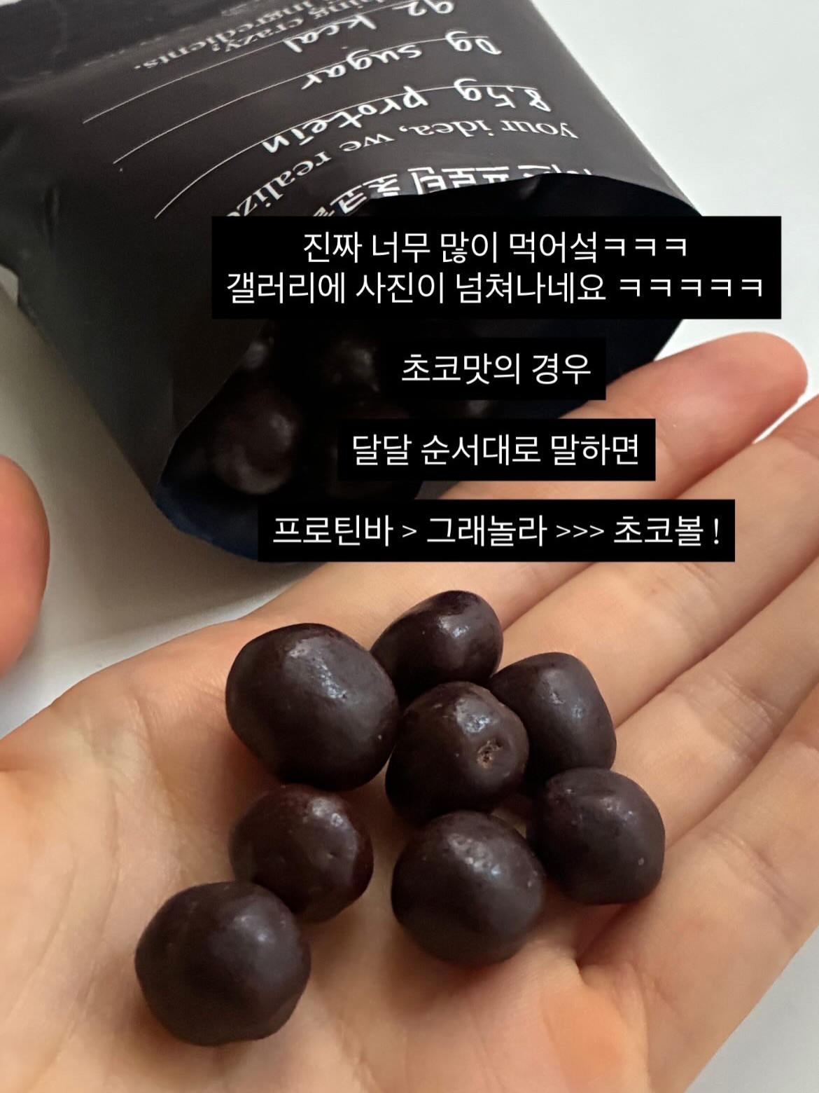 바이탈플랜트 롤팬 10