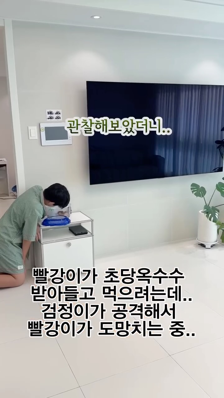 기념일 공방 데이트