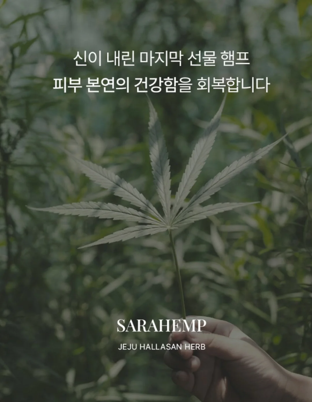 AMZ 회전식 색소 조색기 4