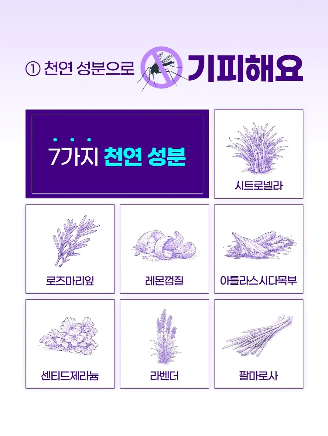 인생이란 무엇인가 12