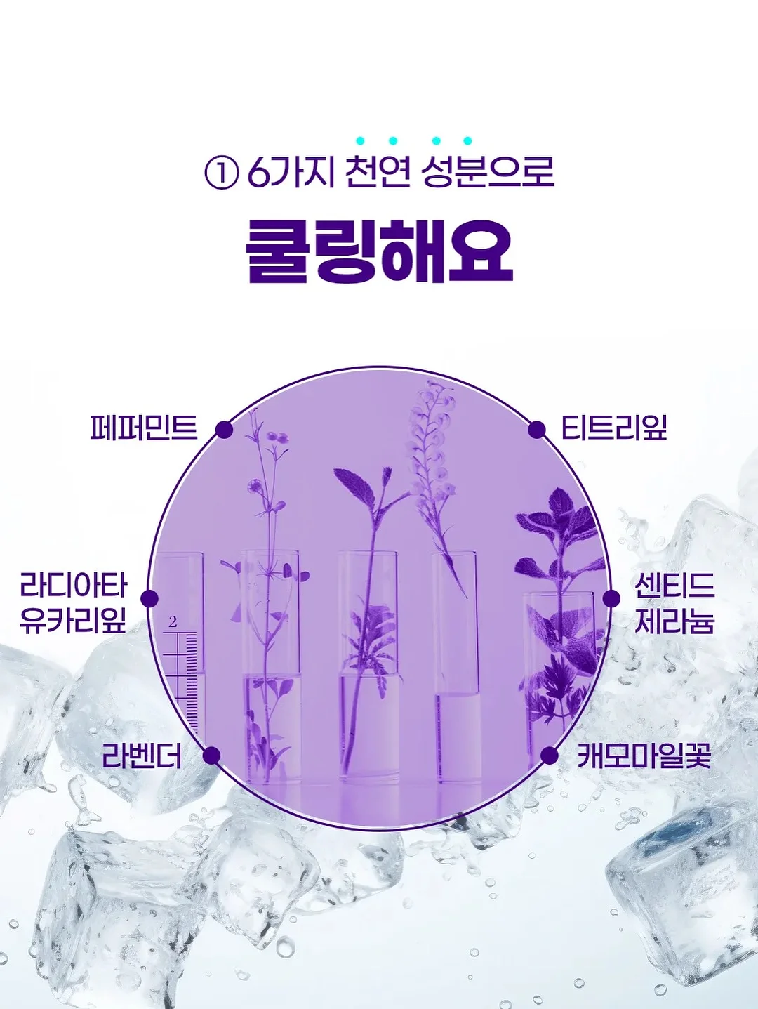 인생이란 무엇인가 13