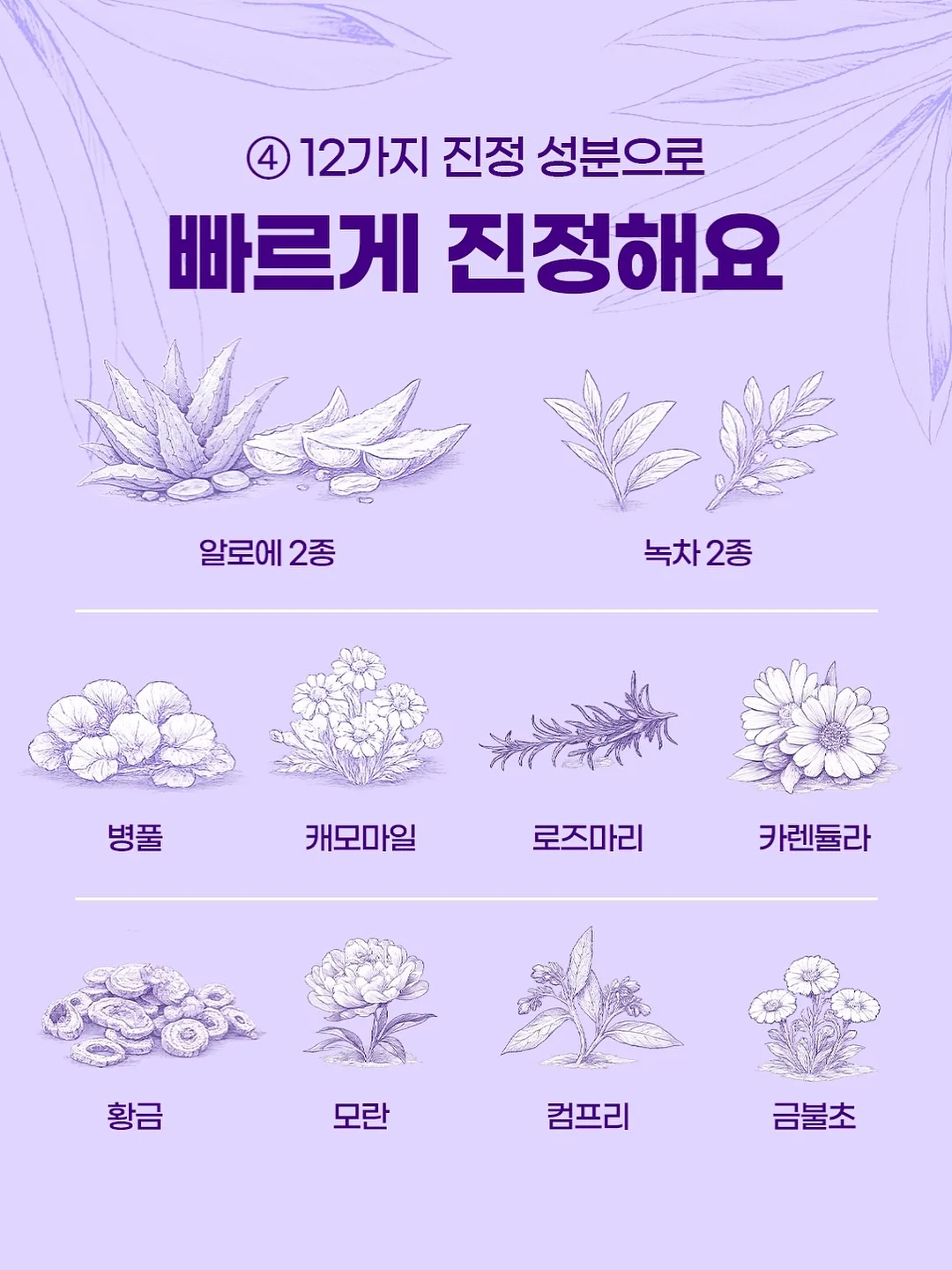인생이란 무엇인가 15