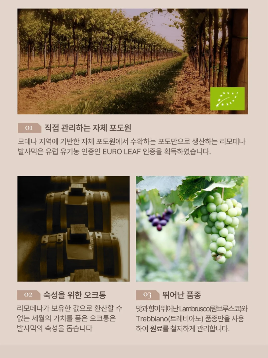 언더워터플레이 체험 16