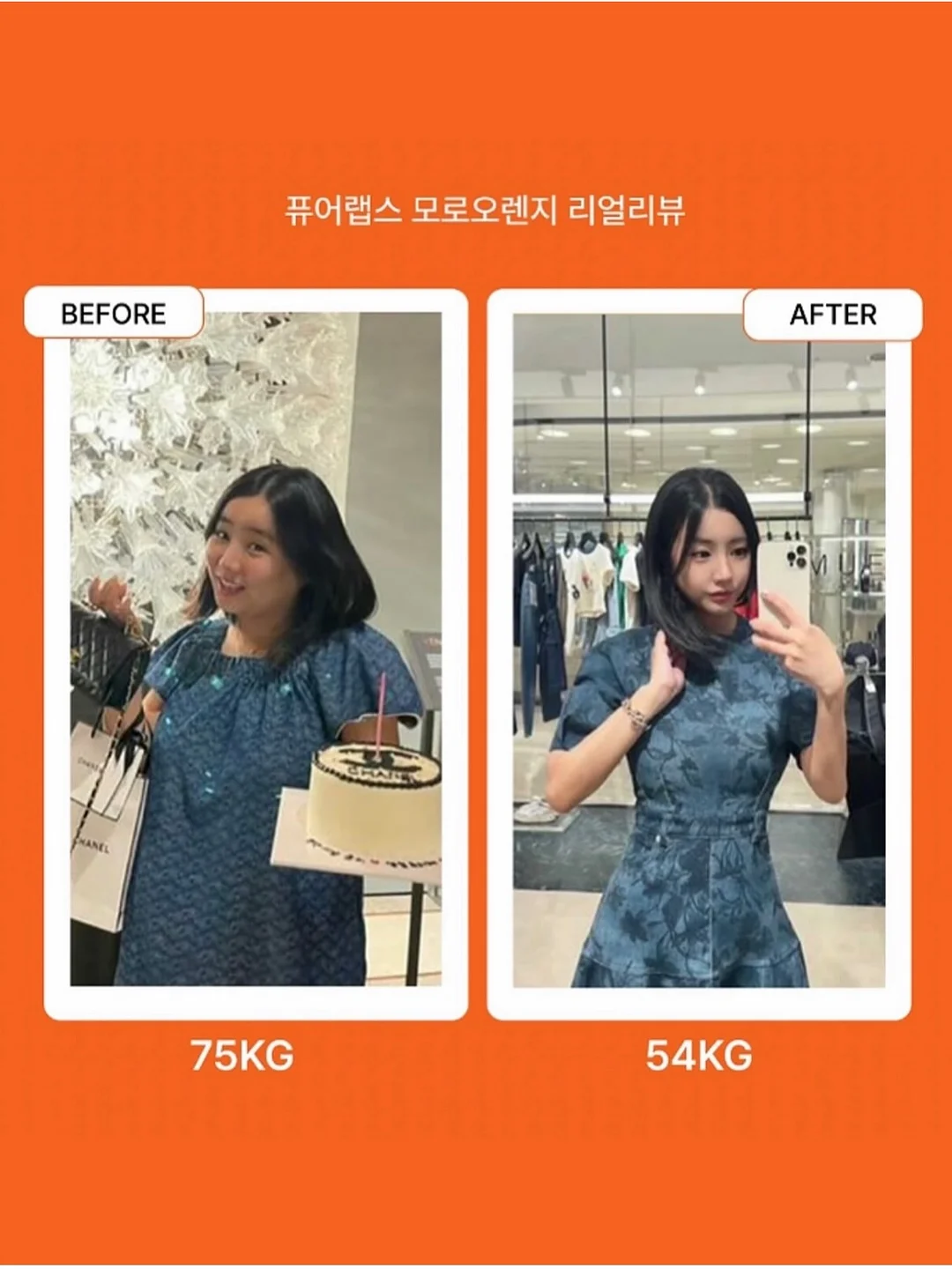 과일 아이스크림 메이커 11
