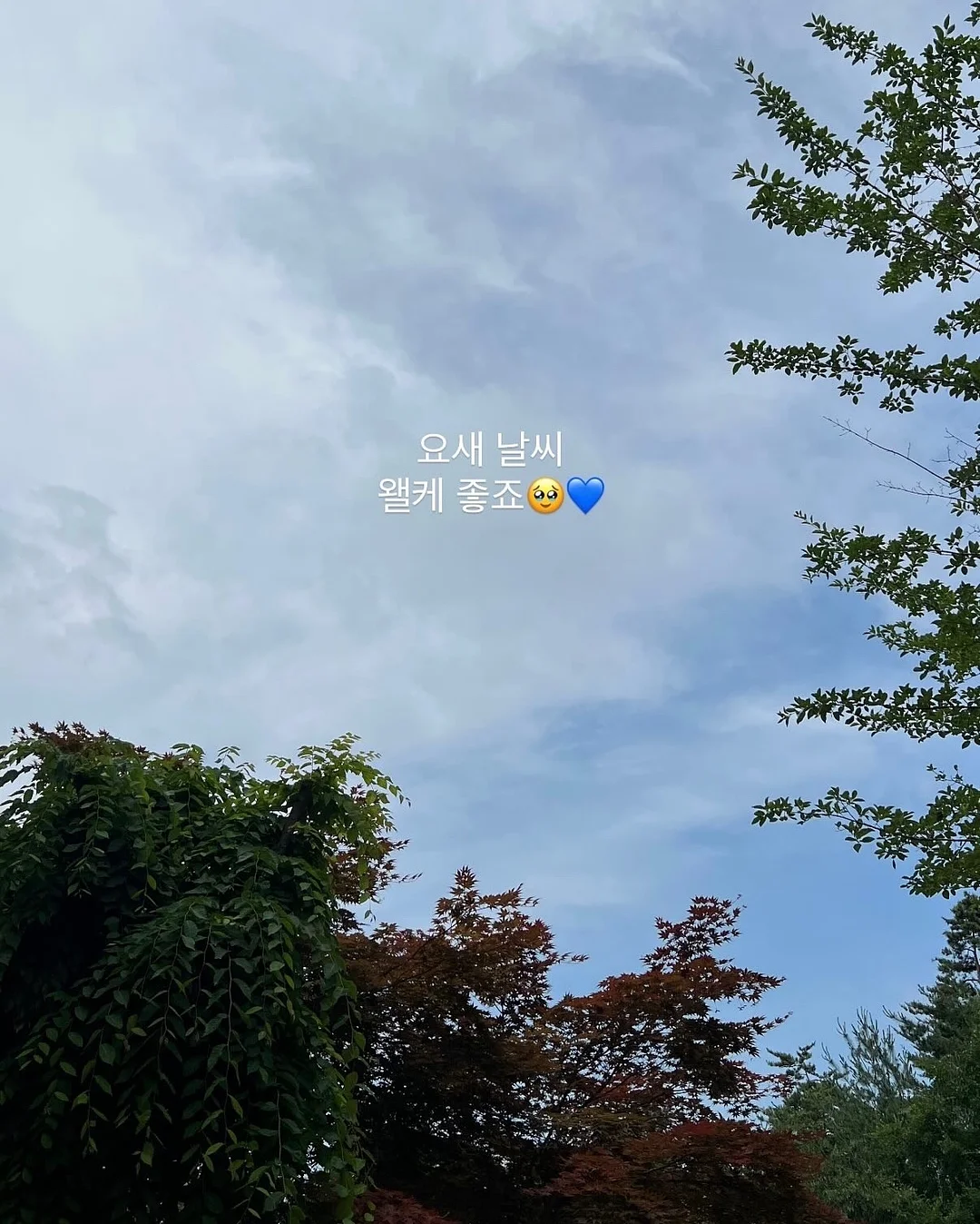 찌니빵 베스트셀러 박스 3