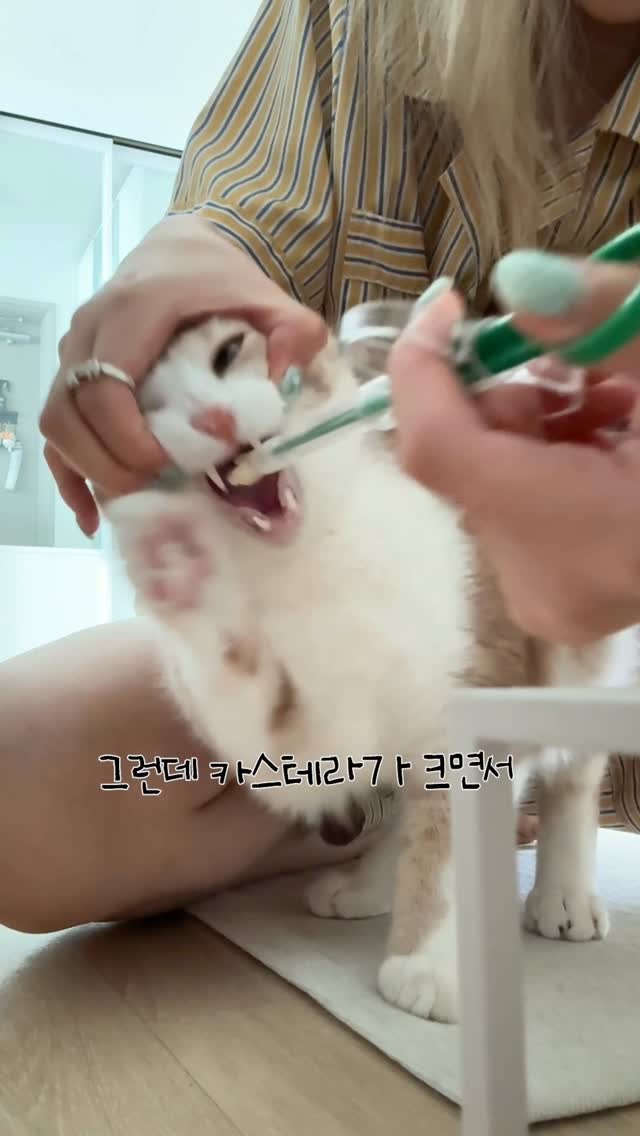 소나무 1500 서랍책장