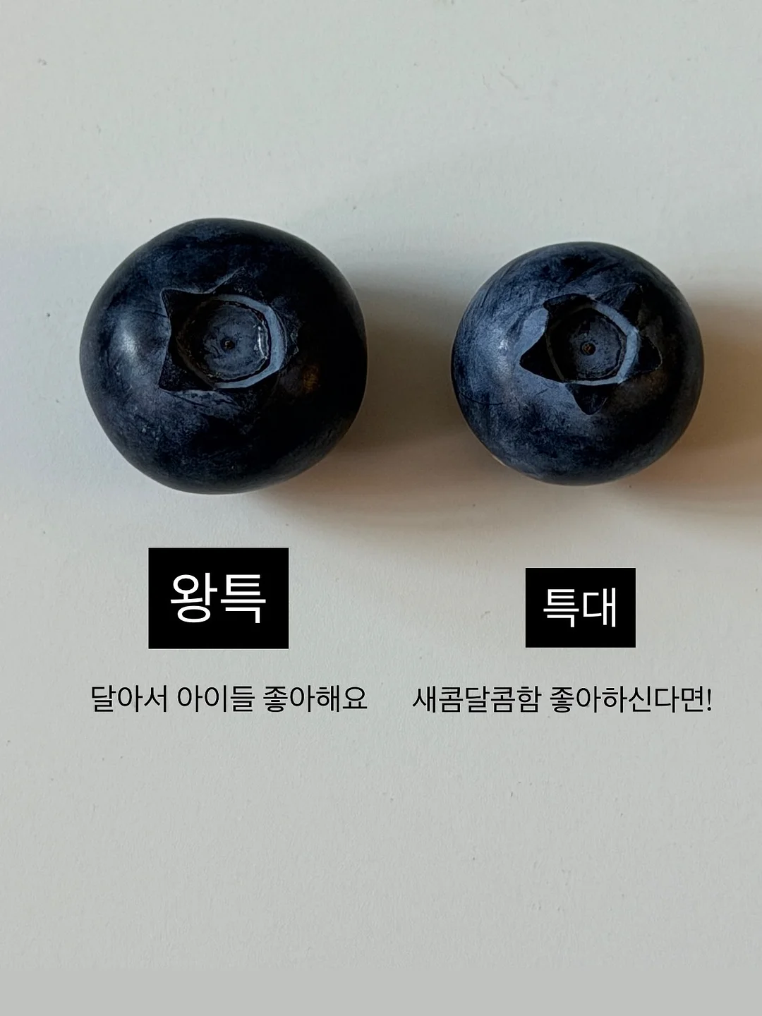 생화케이크 4
