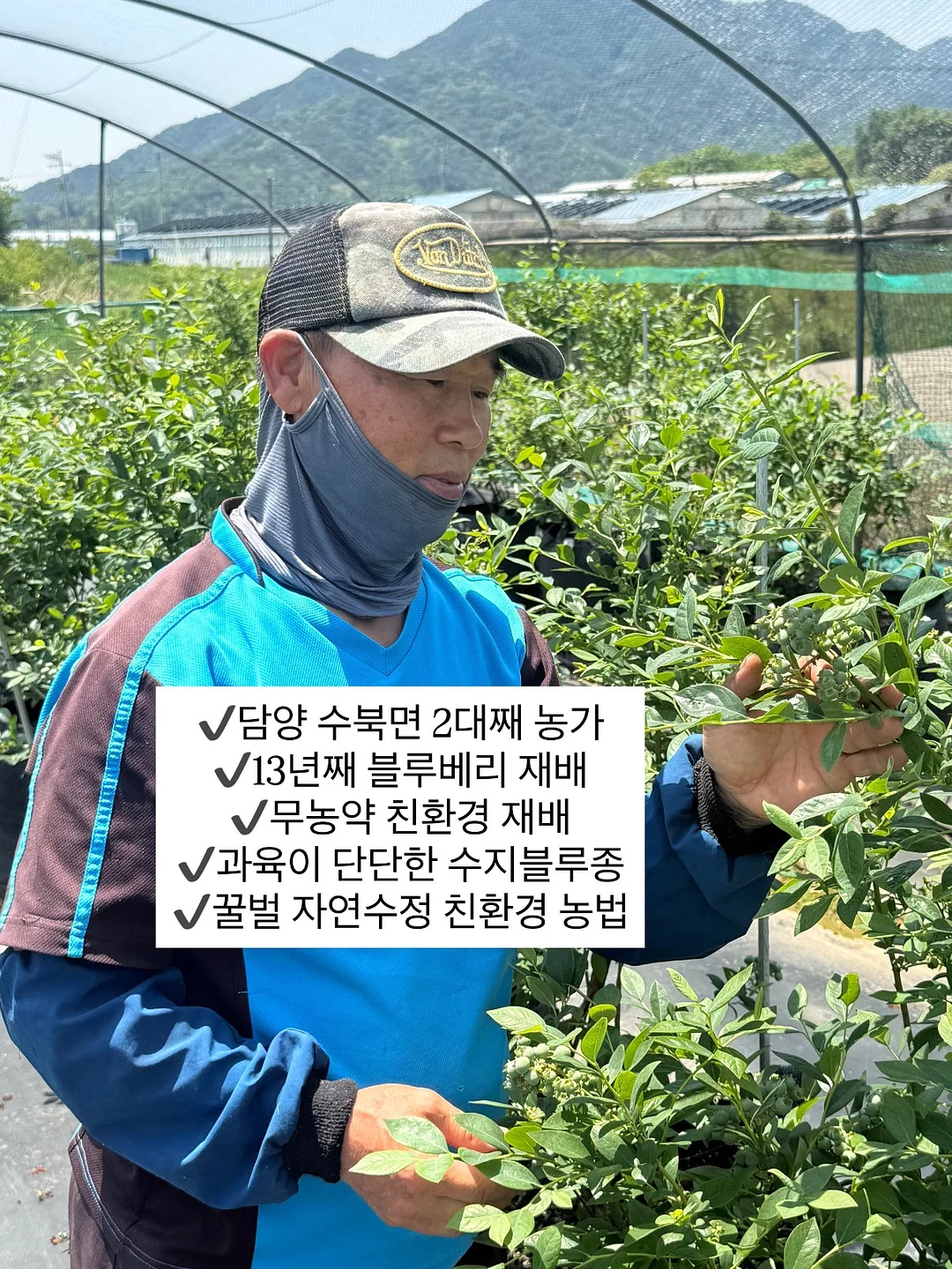 생화케이크 7