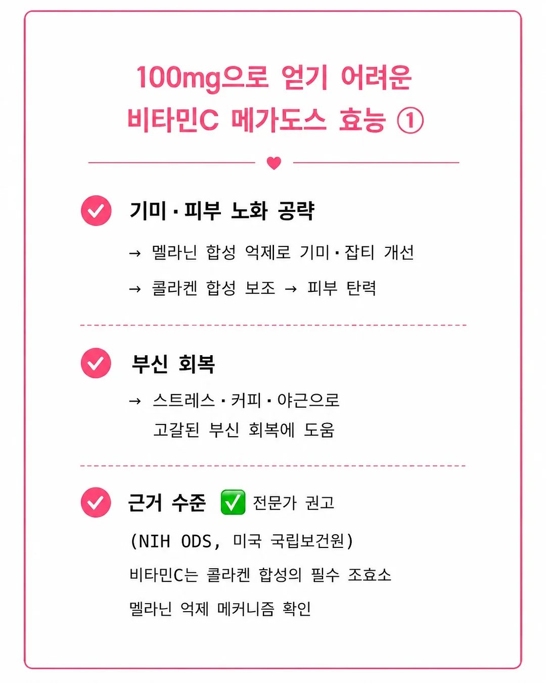 조이드백 2