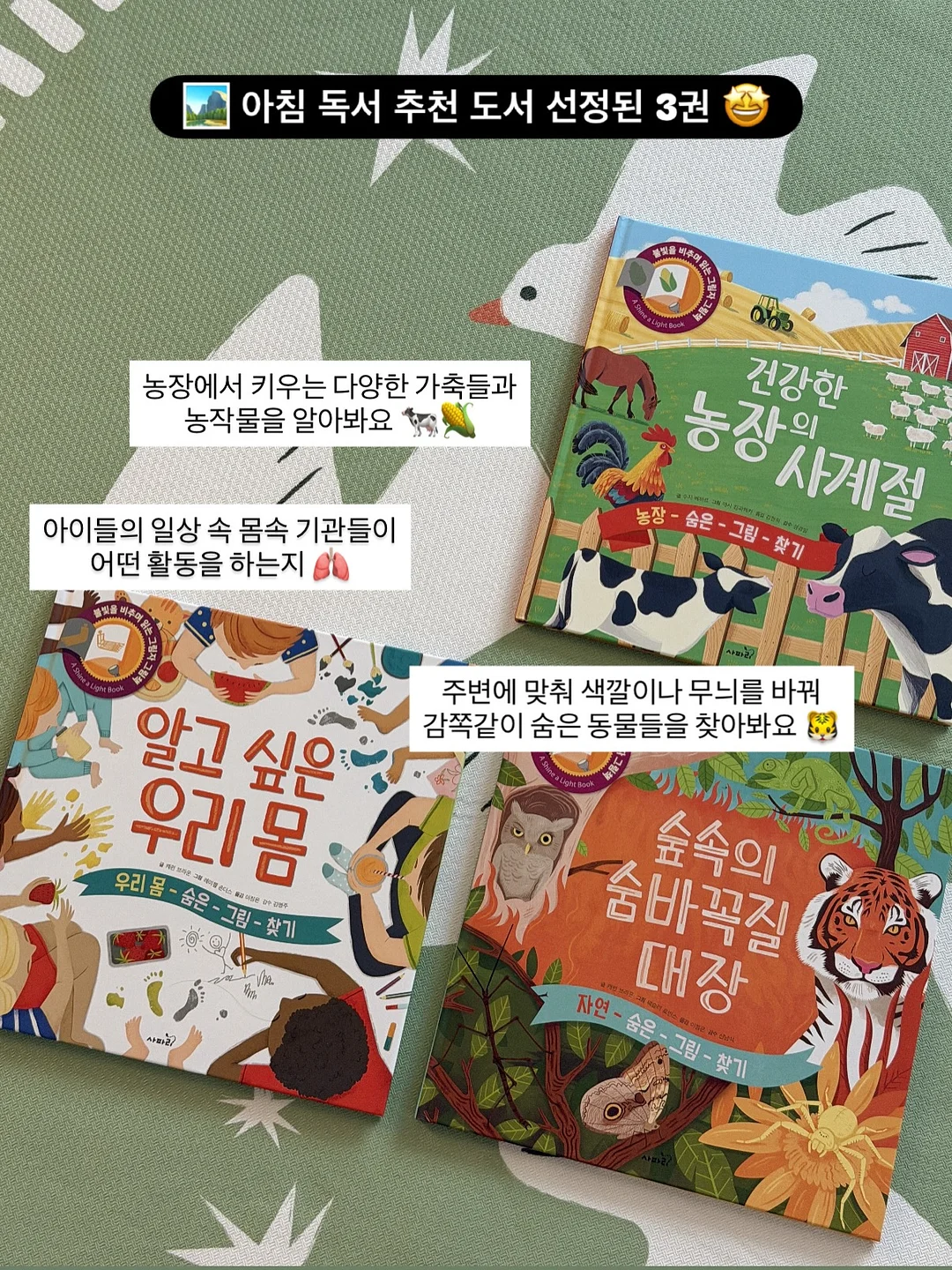 드레이프 넥 라인 타이 스트랩 블라우스 13