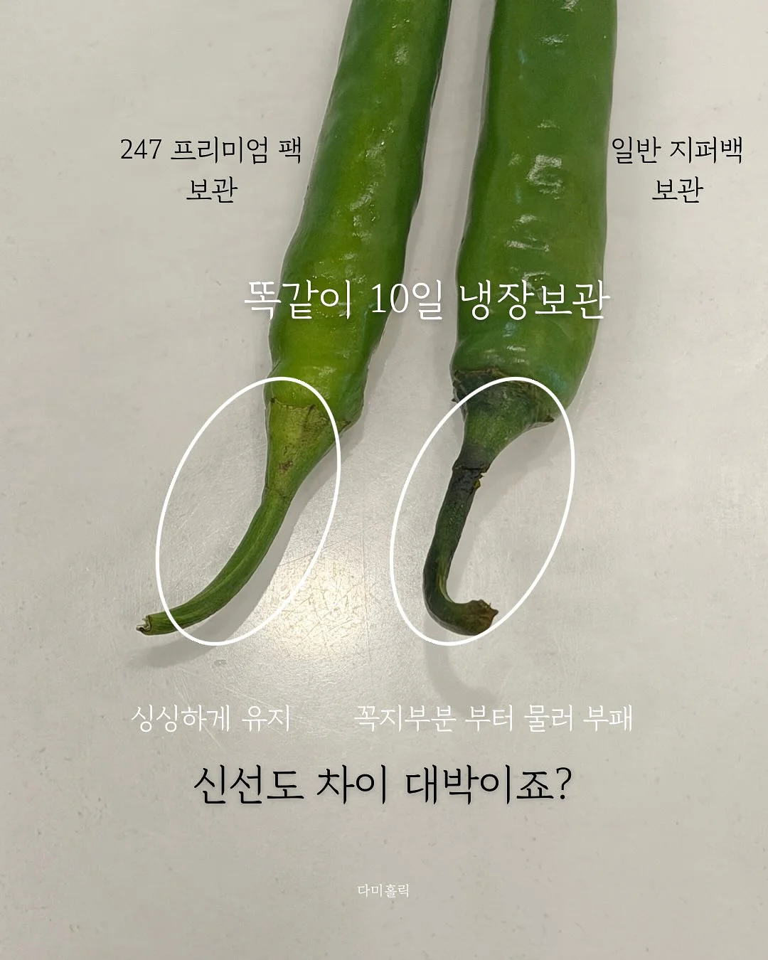 썸머 트위드 반팔 자켓 5