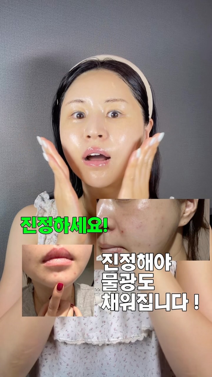 공기정화 식물