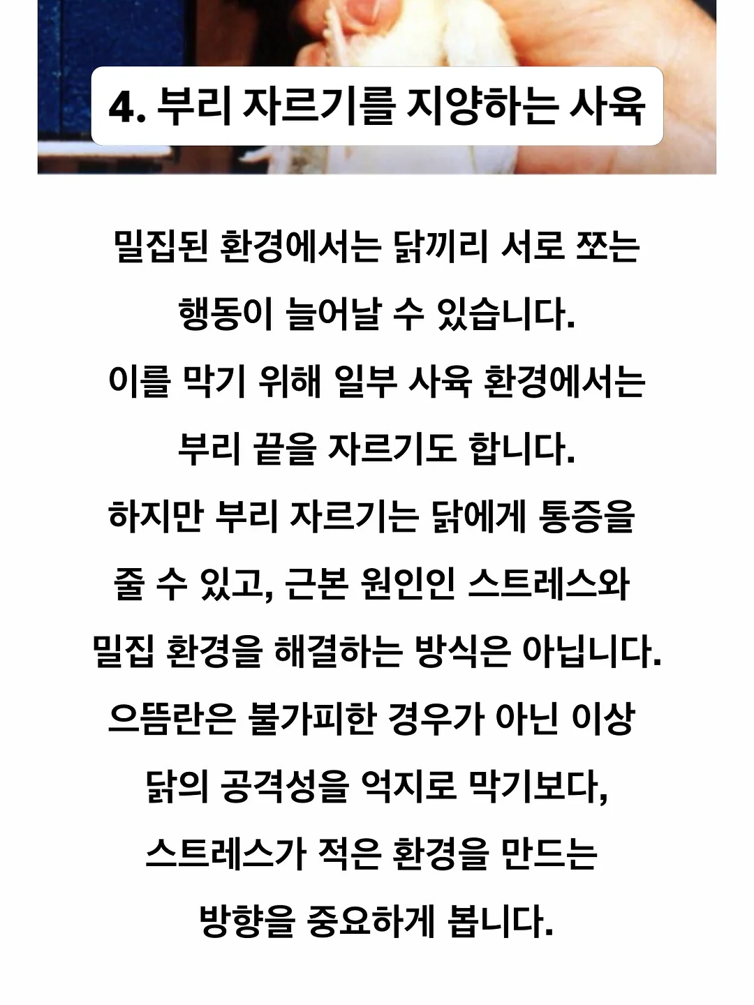 초고농축 바르는 비타민 캡슐 12