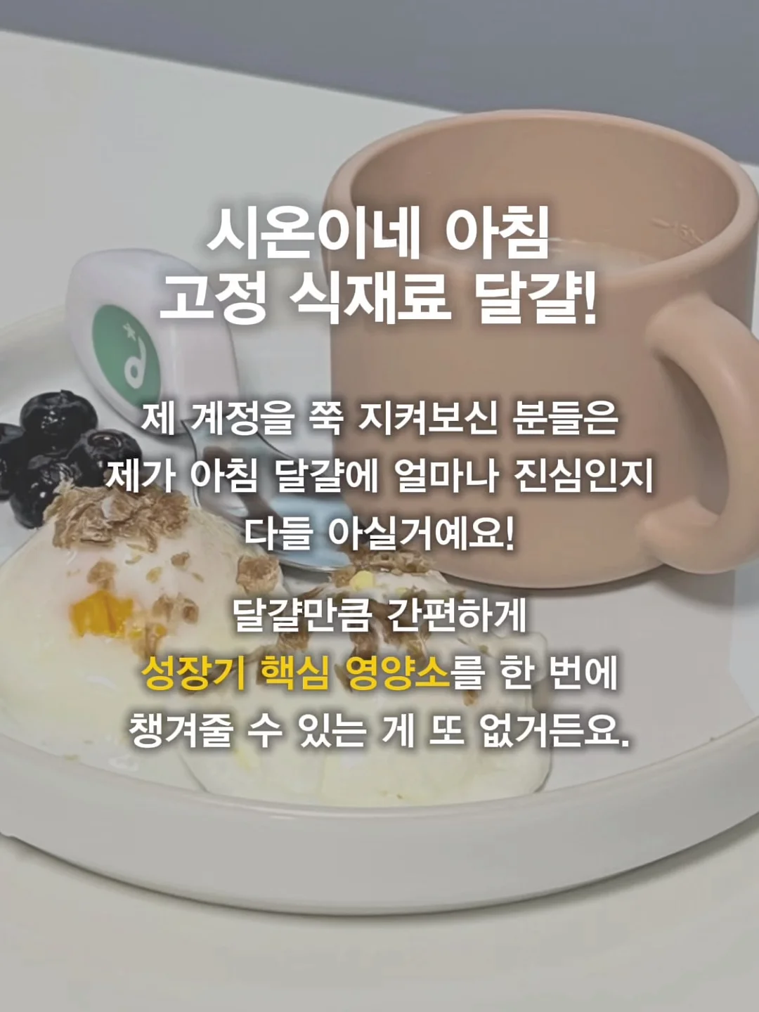 초고농축 바르는 비타민 캡슐 2