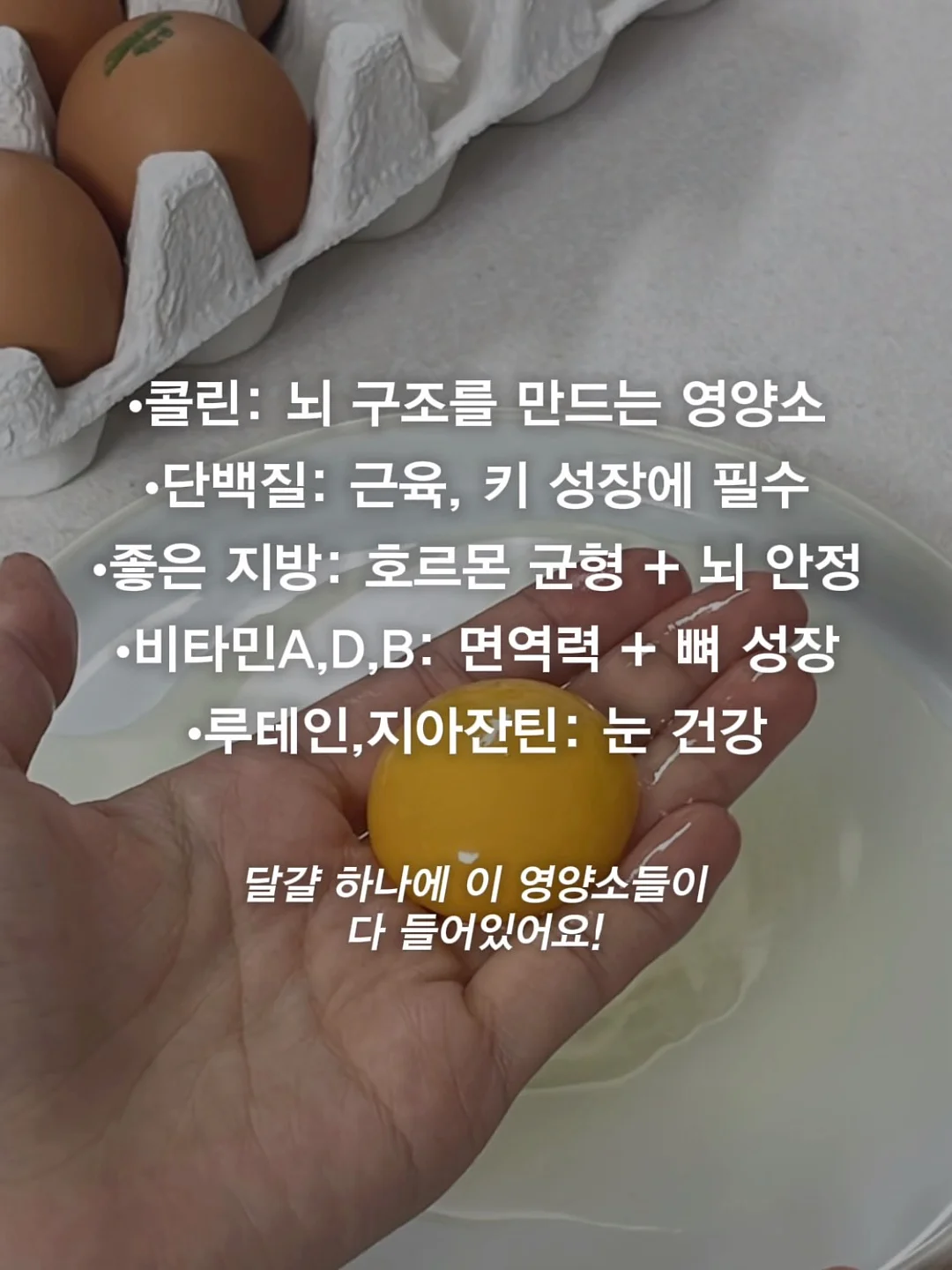초고농축 바르는 비타민 캡슐 3