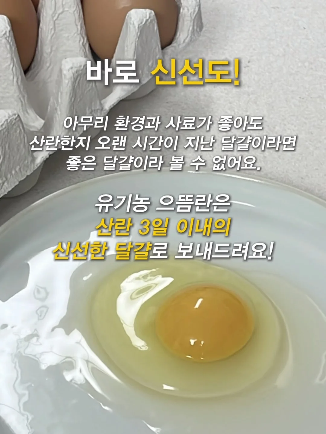 초고농축 바르는 비타민 캡슐 6