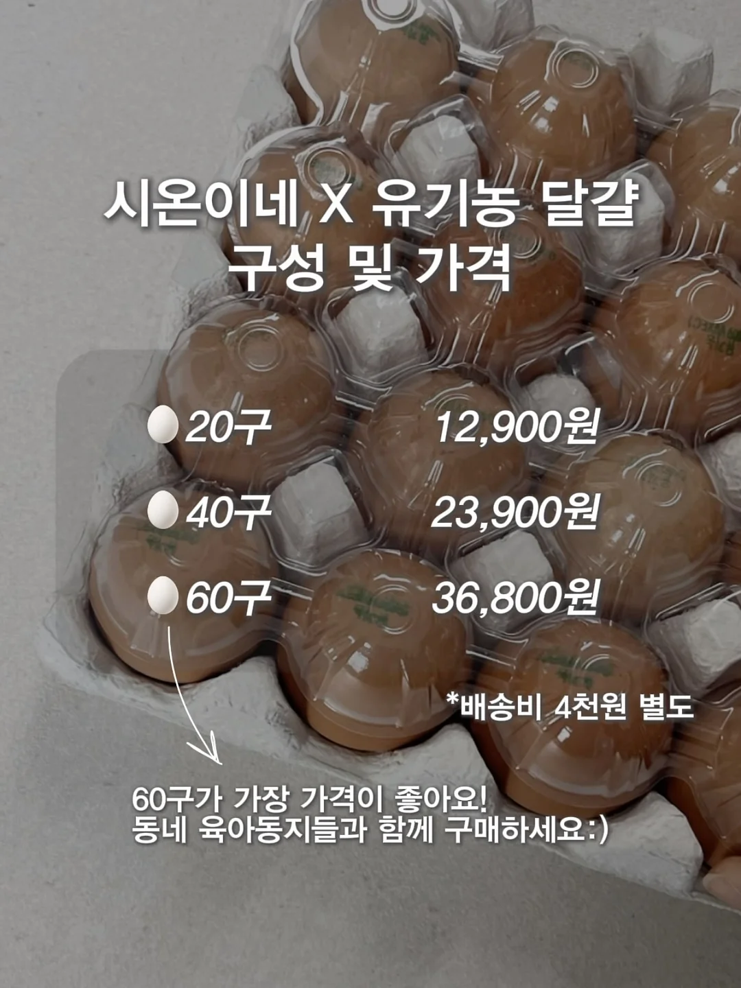 초고농축 바르는 비타민 캡슐 7