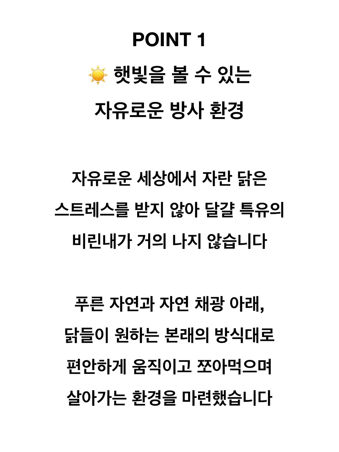 초고농축 바르는 비타민 캡슐 8