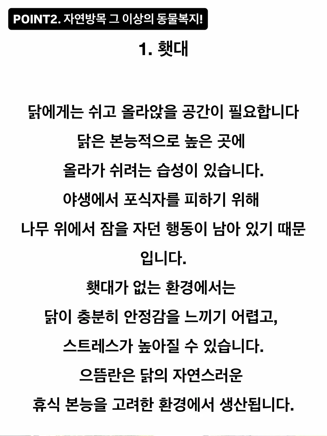 초고농축 바르는 비타민 캡슐 9