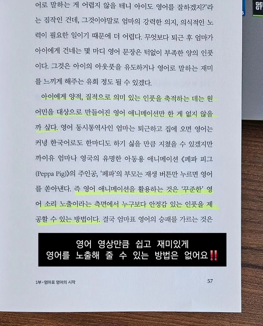 배도라지즙 16