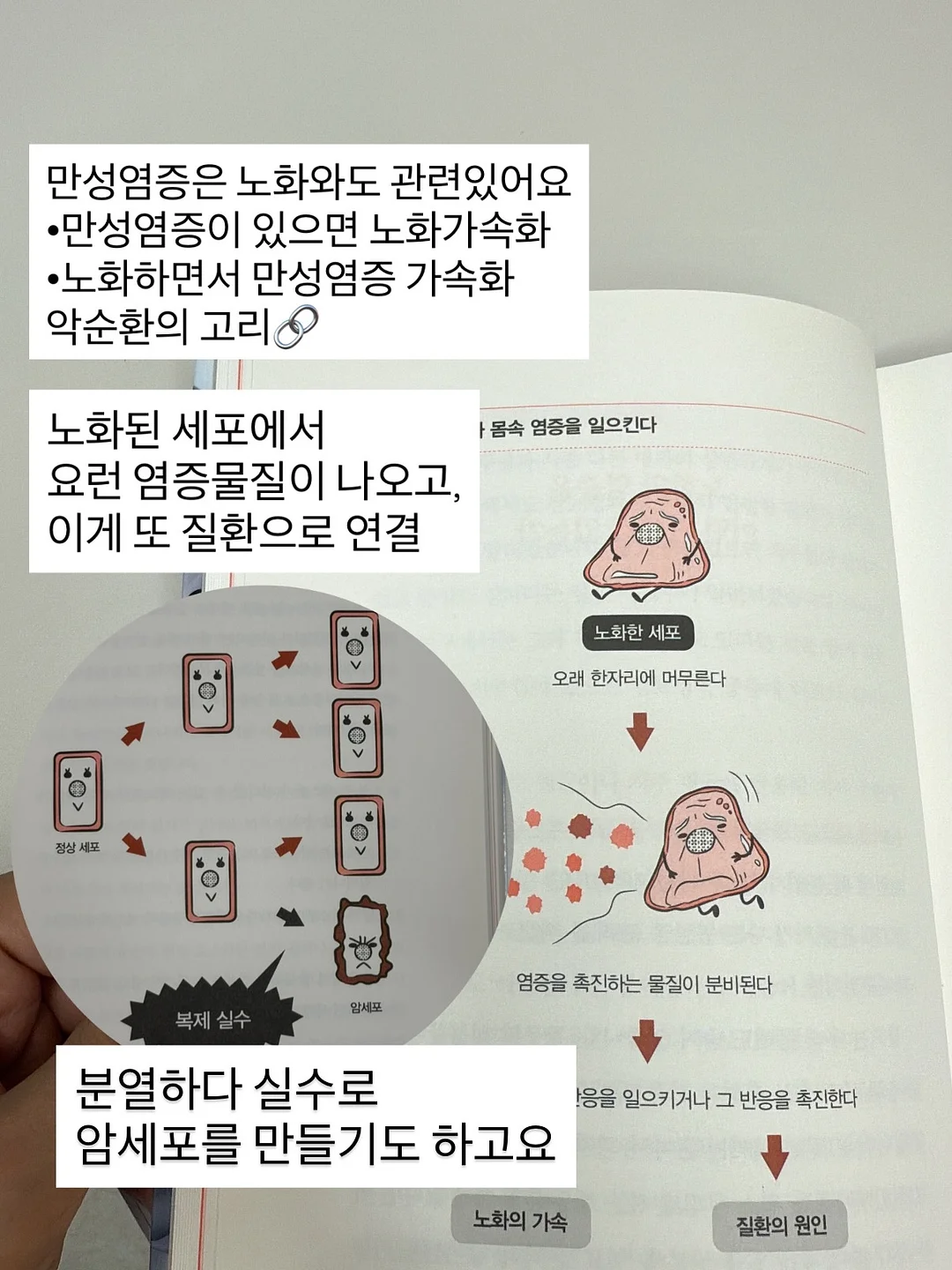 코스알엑스 패드 3