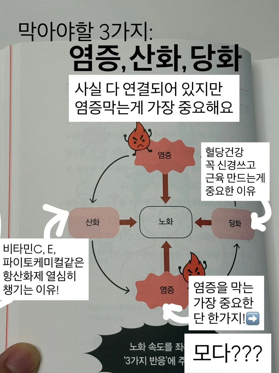 코스알엑스 패드 4