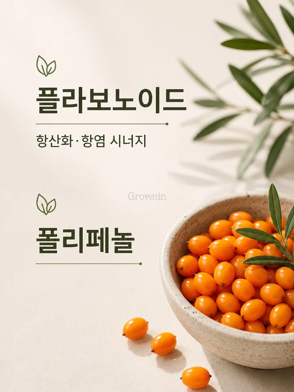 피엠 화장품 라인 세럼 14
