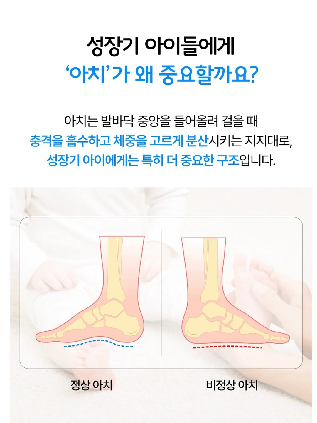 리쥬웨이브 12