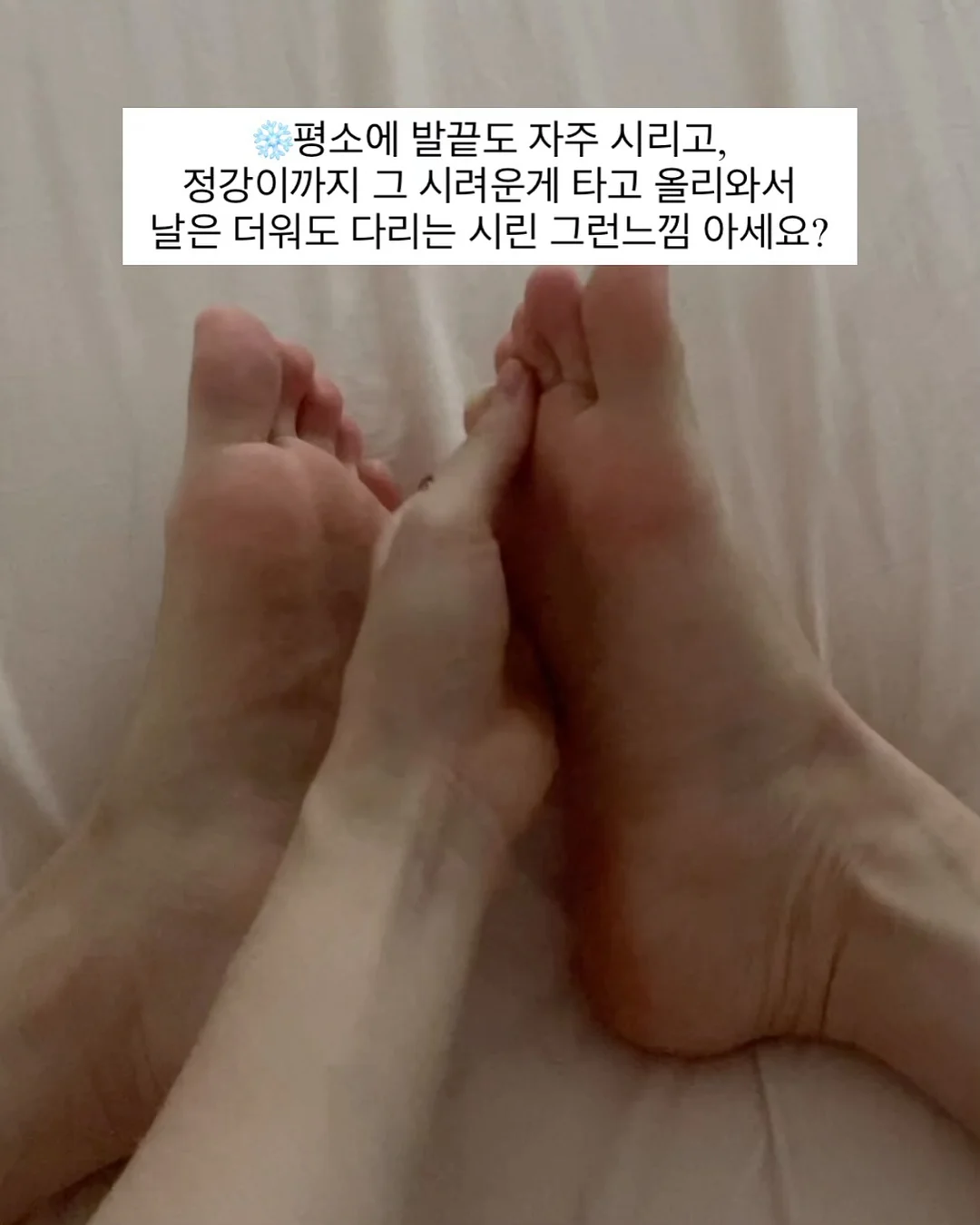 정오의 금빛 Citrus Tarte 7