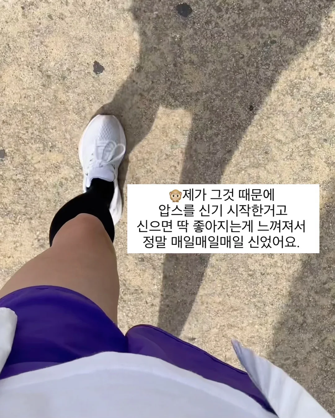 정오의 금빛 Citrus Tarte 8